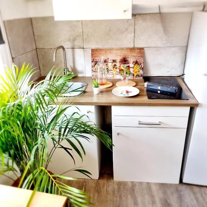 Duplex Les Toits Aixois Clim Apartment Aix-en-Provence